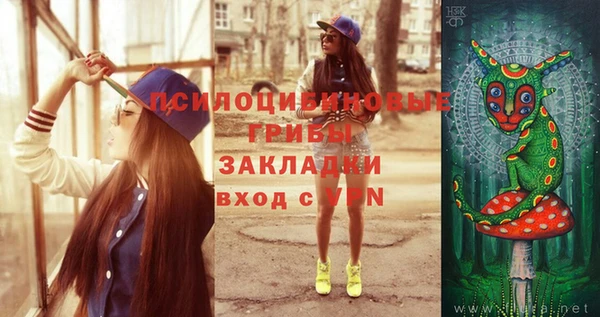 дживик Дедовск