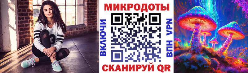 Галлюциногенные грибы Psilocybine cubensis  Купить  Грязовец 