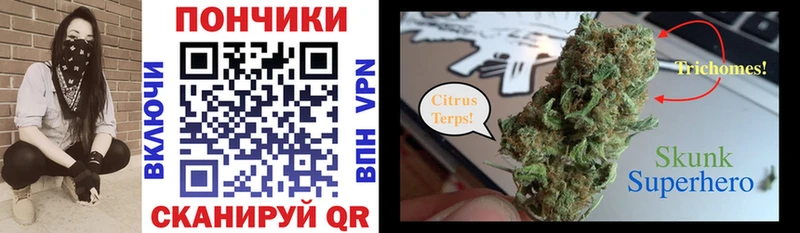 Купить  Грязовец  Шишки марихуана конопля 